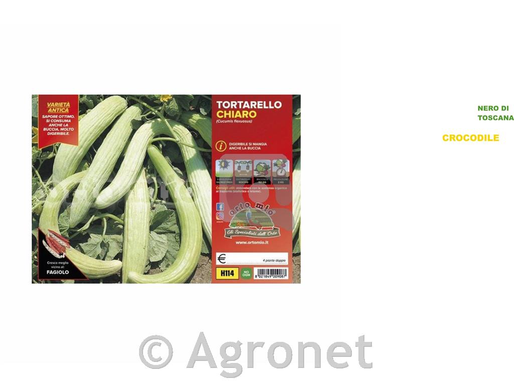 Kumare Tortarello, 4 kos