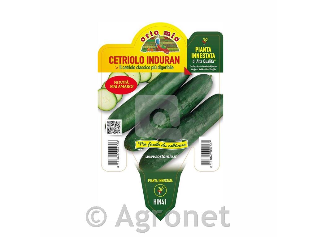 Kumare solatne Induran F1