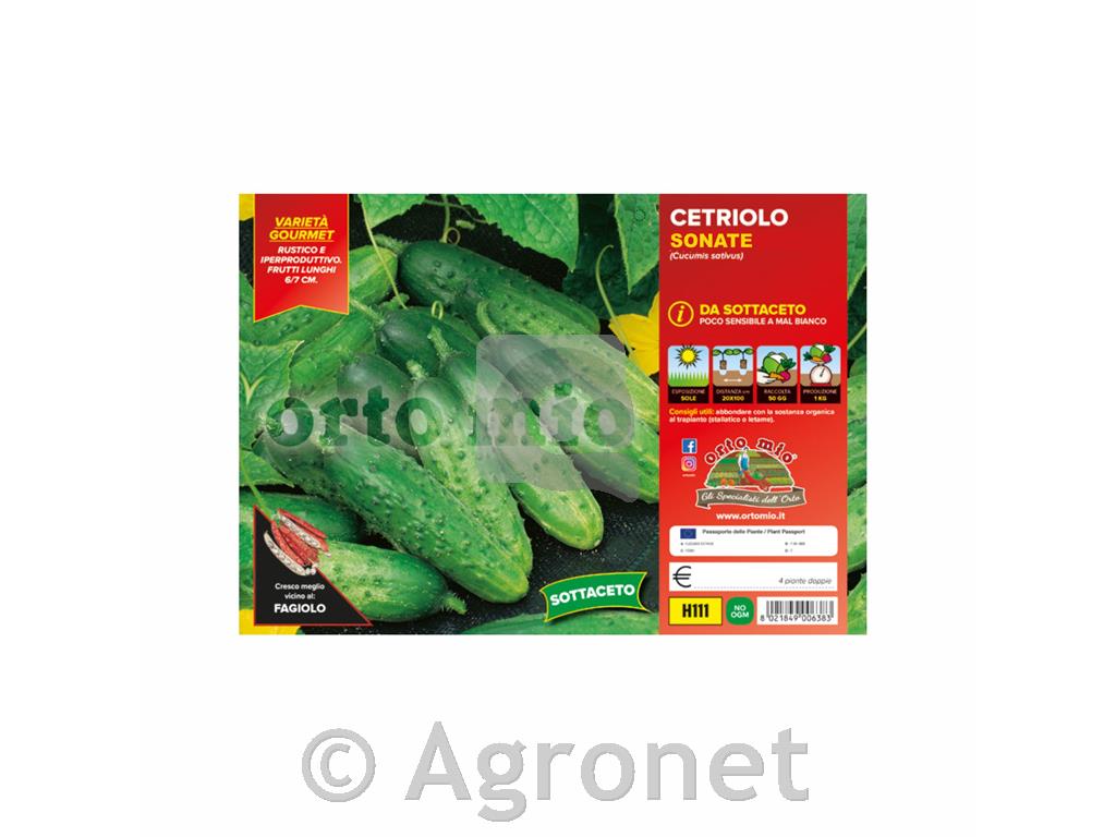 Kumare za vlaganje Sonate (Green Pick) F1