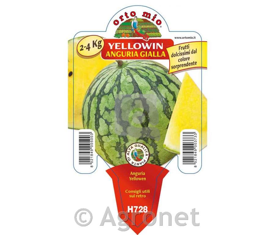 Lubenica Luteo (Yellowin) F1, 1 kos