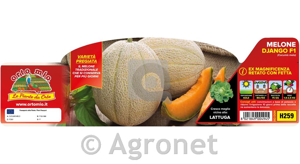 Melona rebrasta Django (Magnificenza) F1, 4 kos