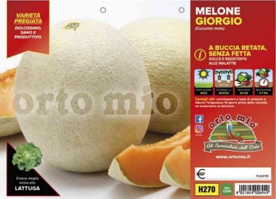 Melona CAPITOL F1, 4 kos