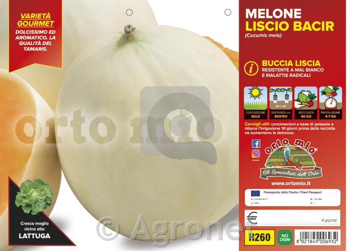 Melona gladka Bacir F1, 4 kos