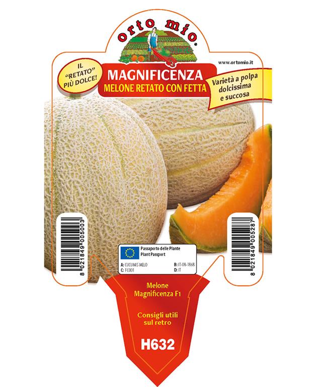 Melona Magnificenza F1, 1 kos
