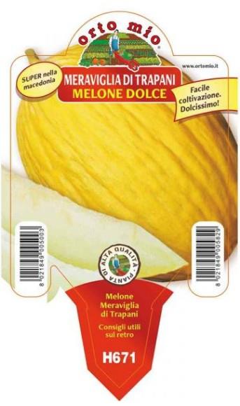 Melona Polis F1, 1 kos