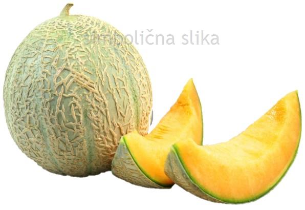 Melona Galactus F1, L10, 1 kos