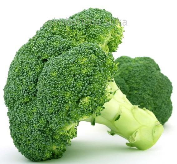 Ogrščica Novantina, 12 kos