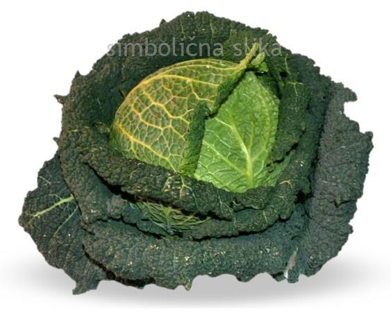 Glavnati ohrovt Morama F1, 6 kos