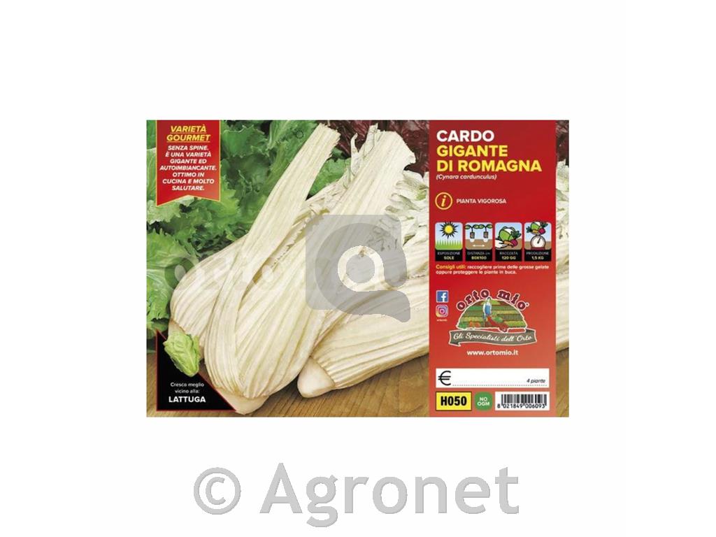 Kardij Gigante di Romagna