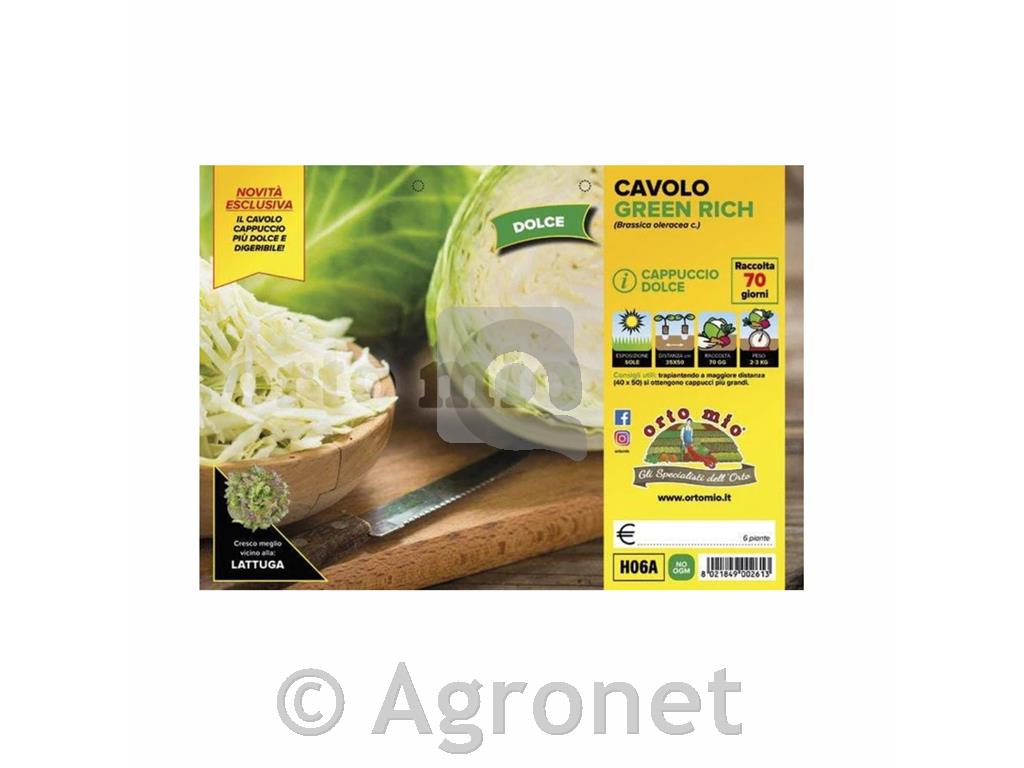 Zelje Green Rich F1, 6 kos