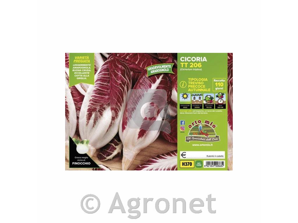 Radiči TT 206, 9 kos