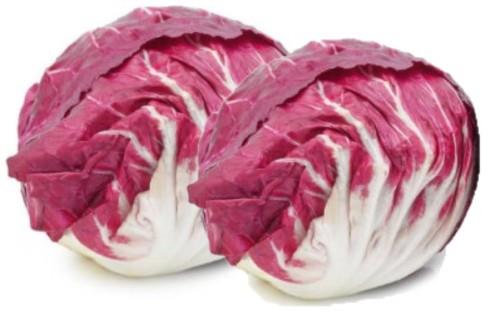 Radiči TT 1606, 9 kos