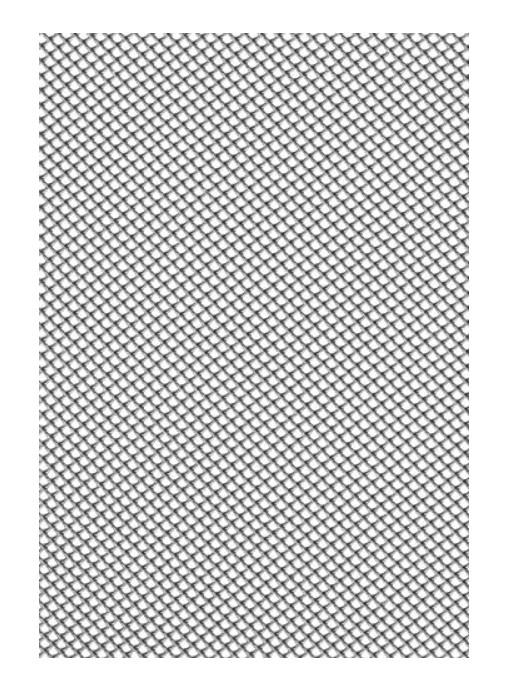 Mreža Jolly 1.00 x 30 m, siva