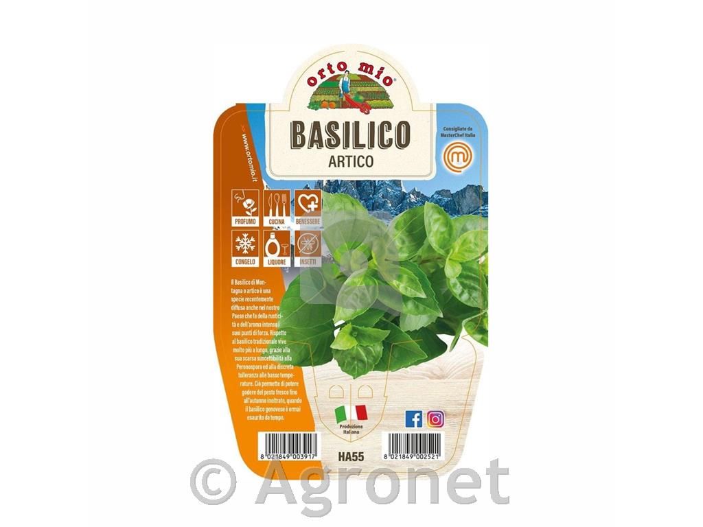 Bazilika Gorska, 1kos