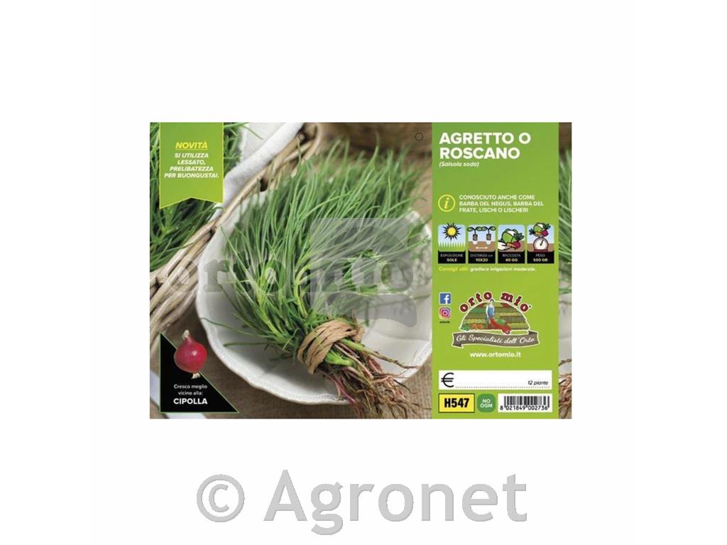 Sodina solinka, 12 kos