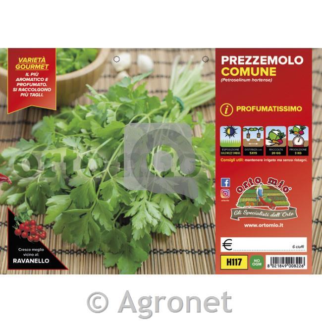 Peteršilj listni aromatični Comune, 6 kos