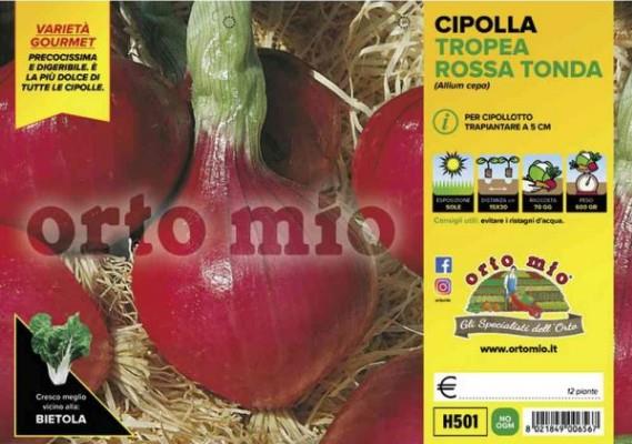 Čebula rdeča okrogla Tropea rossa tonda, 12 kos