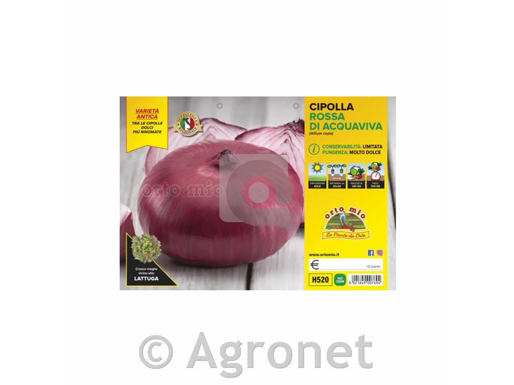 Čebula rdeča Rossa diAcquaviva, 12 kos