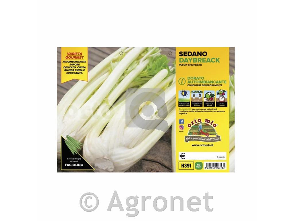 Zelena Galatea F1, 6 kos