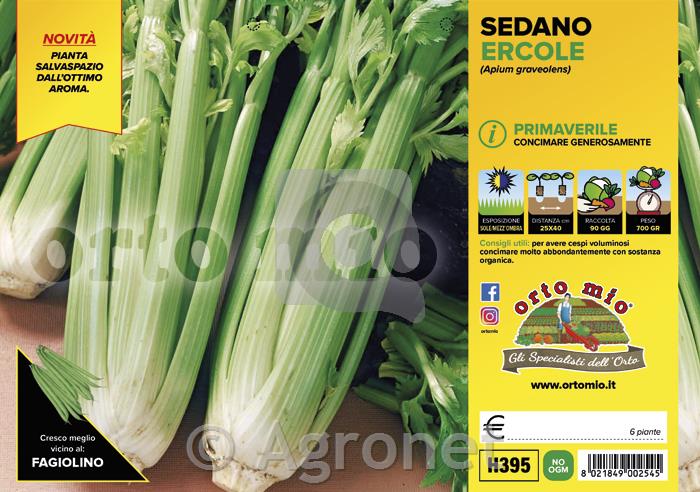Zelena Ercole F1, 6 kos