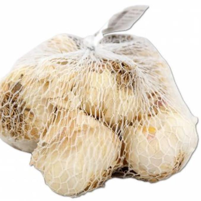 Česen semenski primorski 300g
