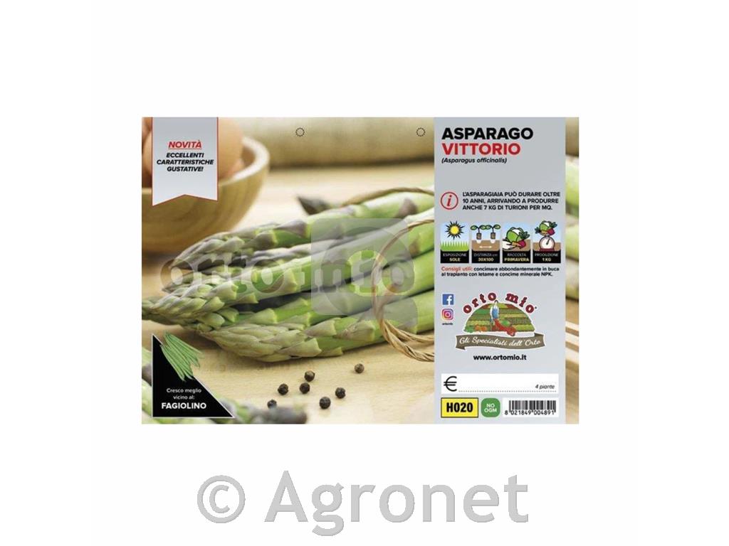 Šparglji Victtorio F1, 4 kos