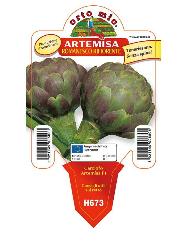 Artičoka Artemisa F1, 1 kos
