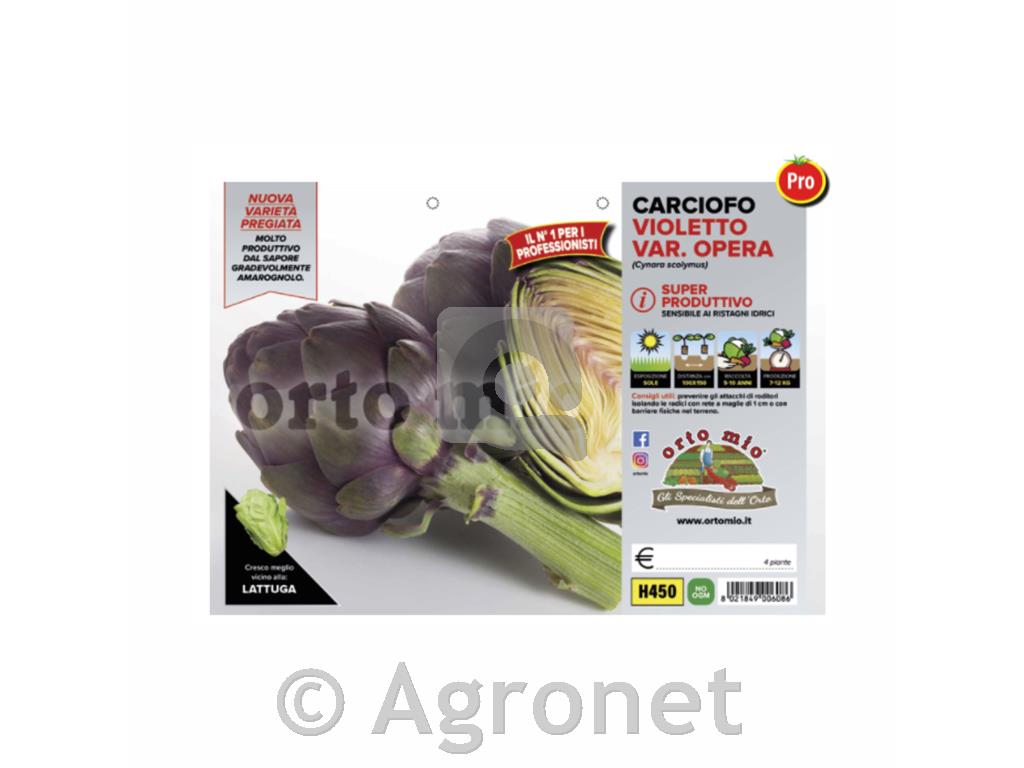 Artičoka vijolična Opera F1, 4kos