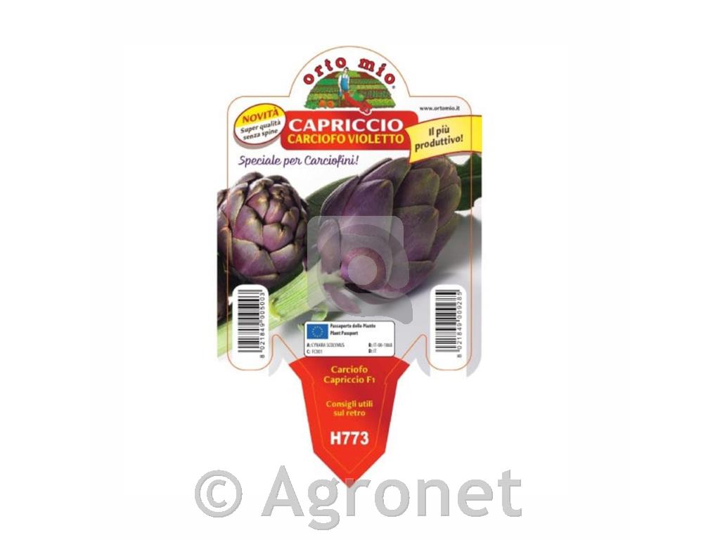 Artičoka Capriccio F1