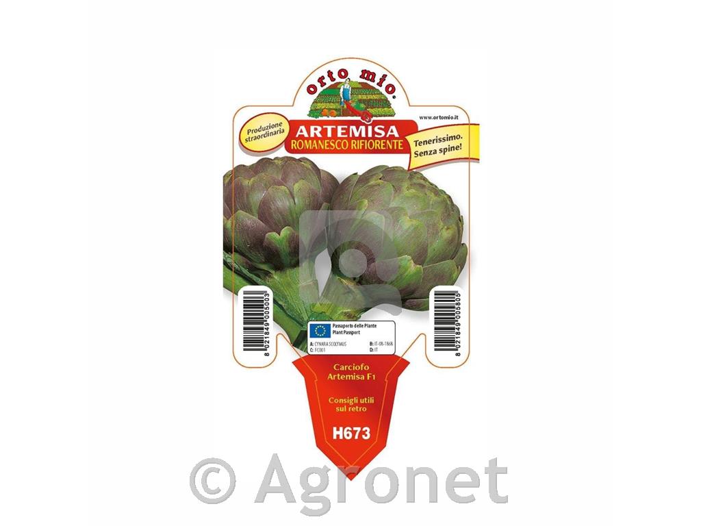 Artičoka zelena Artemisa F1