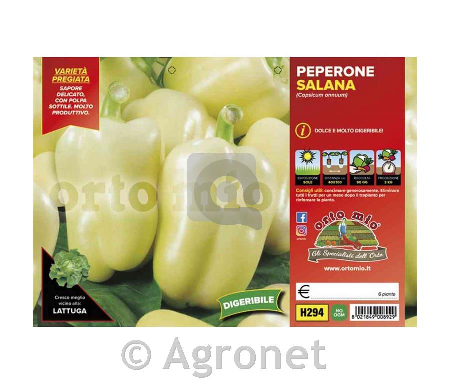 Paprika rumena babura Laguna/Salana F1, 6 kos