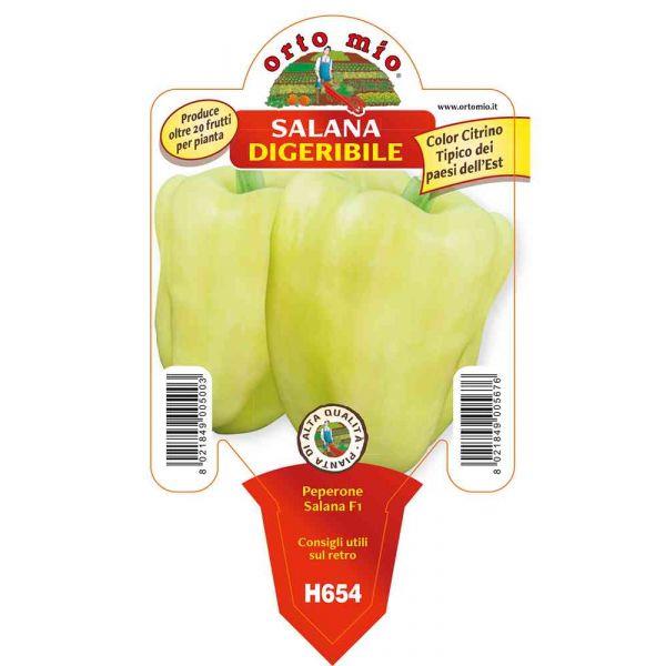 Paprika rumena babura Laguna/Salana F1, 1 kos