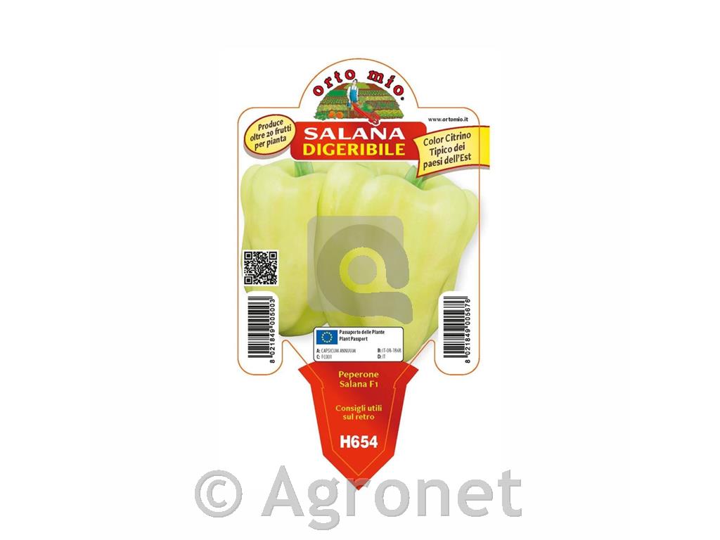 Paprika rumena babura Spartaco F1