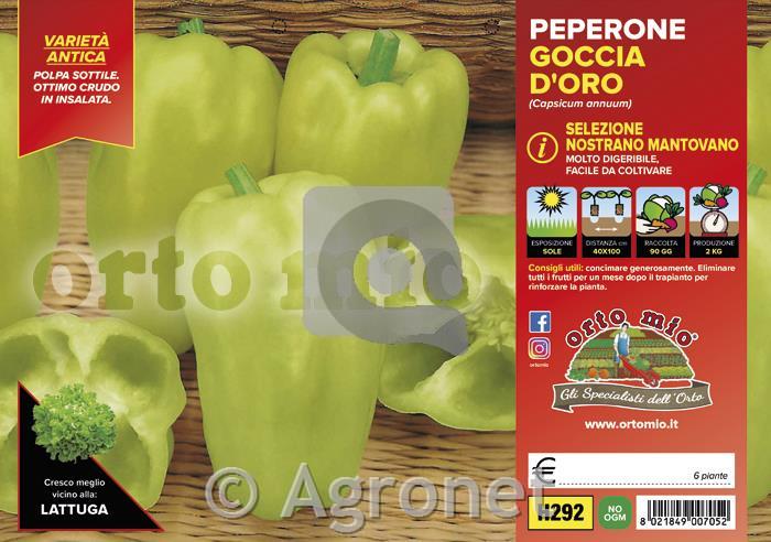 Paprika svetlozelena babura Nostrano Mantovano, 6 kos