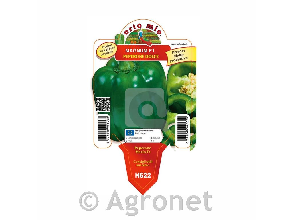 Paprika zelena Magnum F1