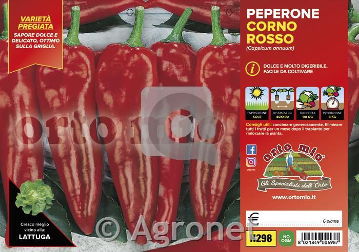 Paprika rog rdeča Alceste F1, 6 kos