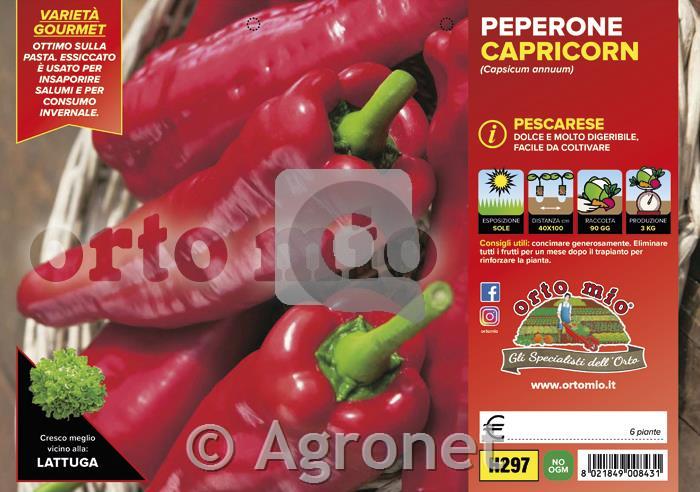 Paprika rog rdeča Capricorn F1, 6 kos