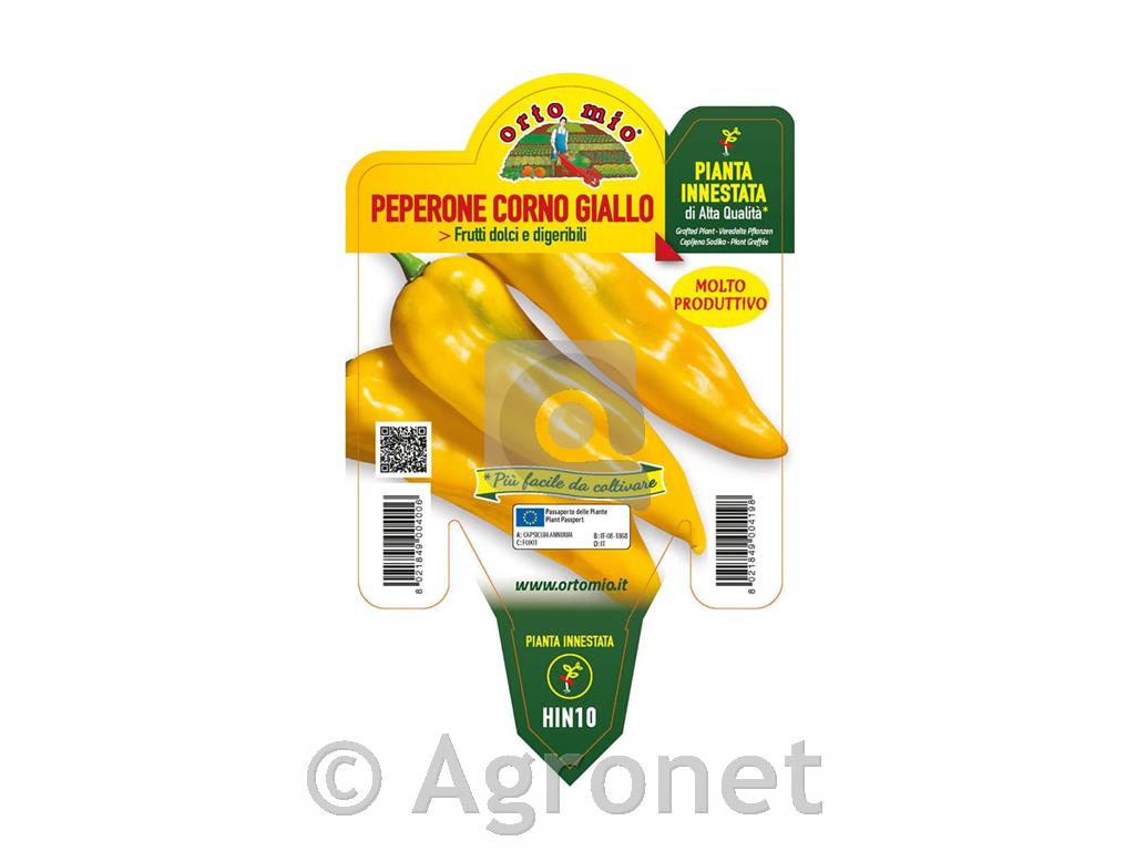 Paprika cepljena rog rumena Libeccio F1, L14, 1 kos