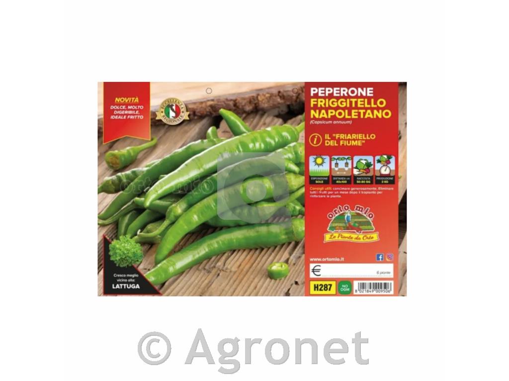 Paprika podolgovata Figitello