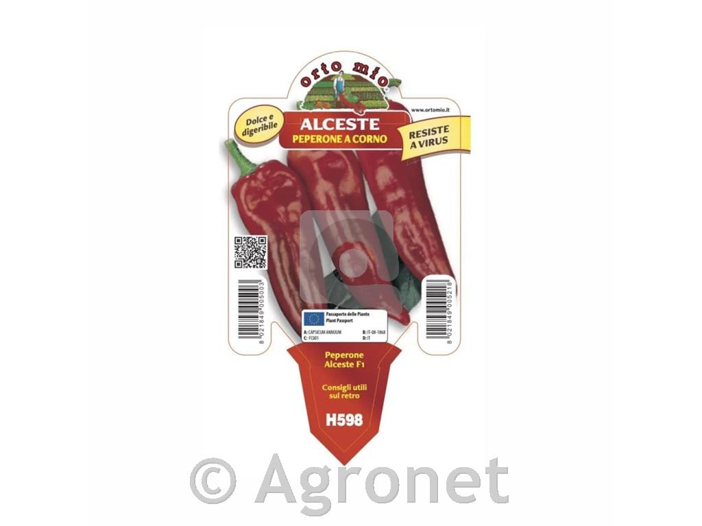 Paprika rdeča Gimbotop F1, 1 kos