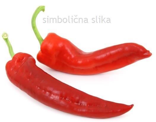 Paprika cepljena rdeča Gagio F1