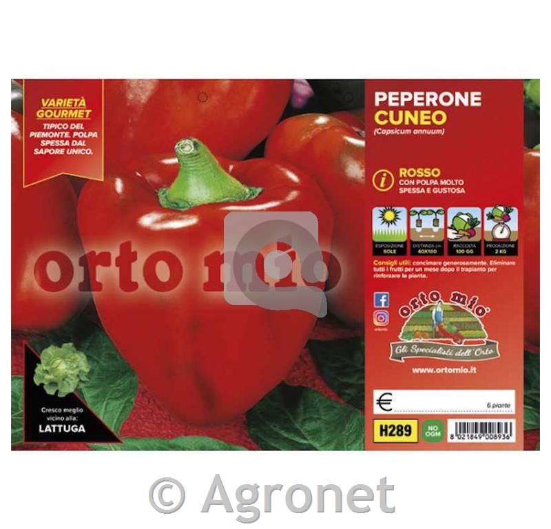 Paprik Rosso di Cuneo F1, 6 kos