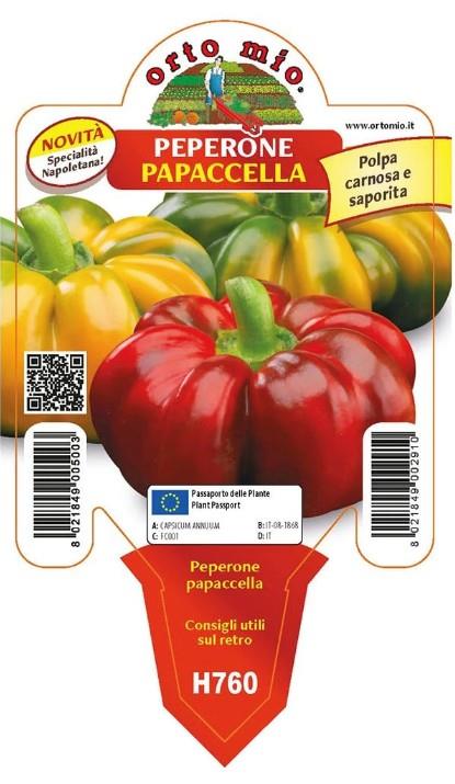 Paprika paradižnikova rebrasta Papaccella, 1 kos