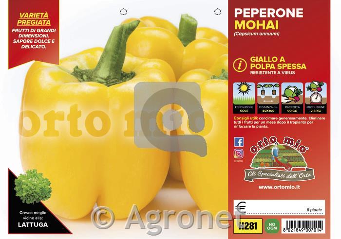 Paprika rumena Mohai F1, 6 kos
