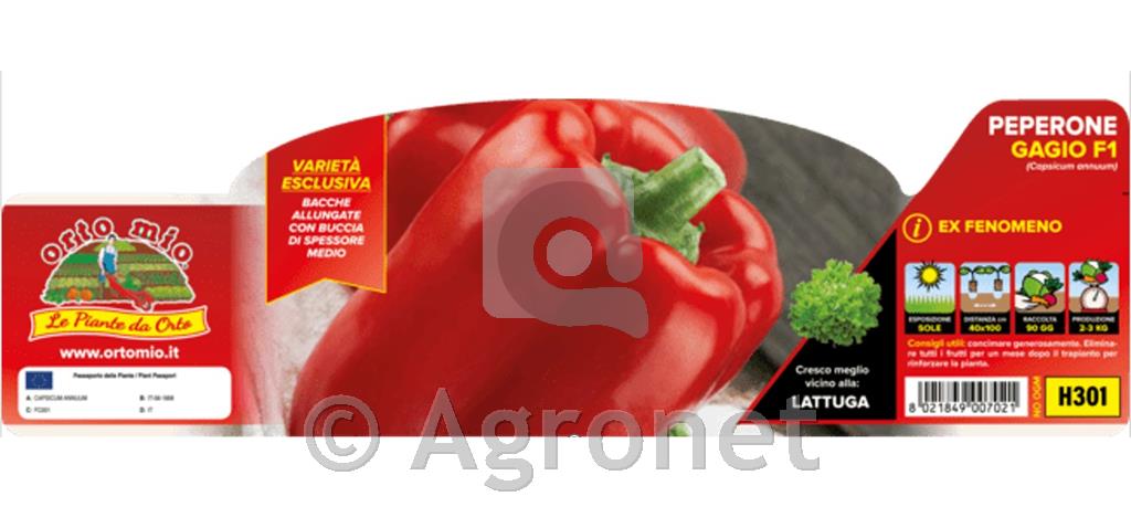 Paprika rdeča Gagio/Fenomeno F1, 1 kos