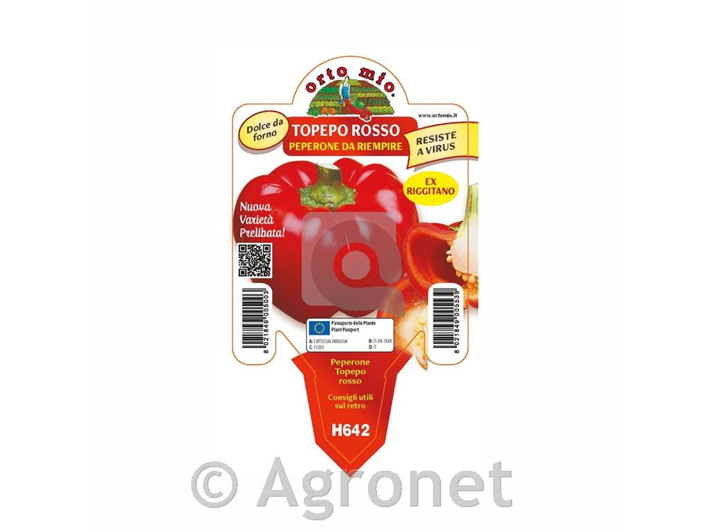 Paprika okrogla rdeča Twister F1