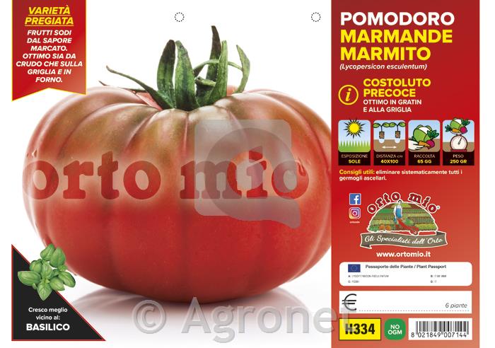 Paradižnik marmande Marmyto F1, 6 kos