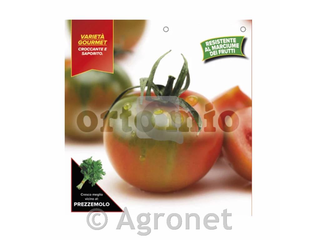 Paradižnik okrogli progasti Reginella F1, 1 kos