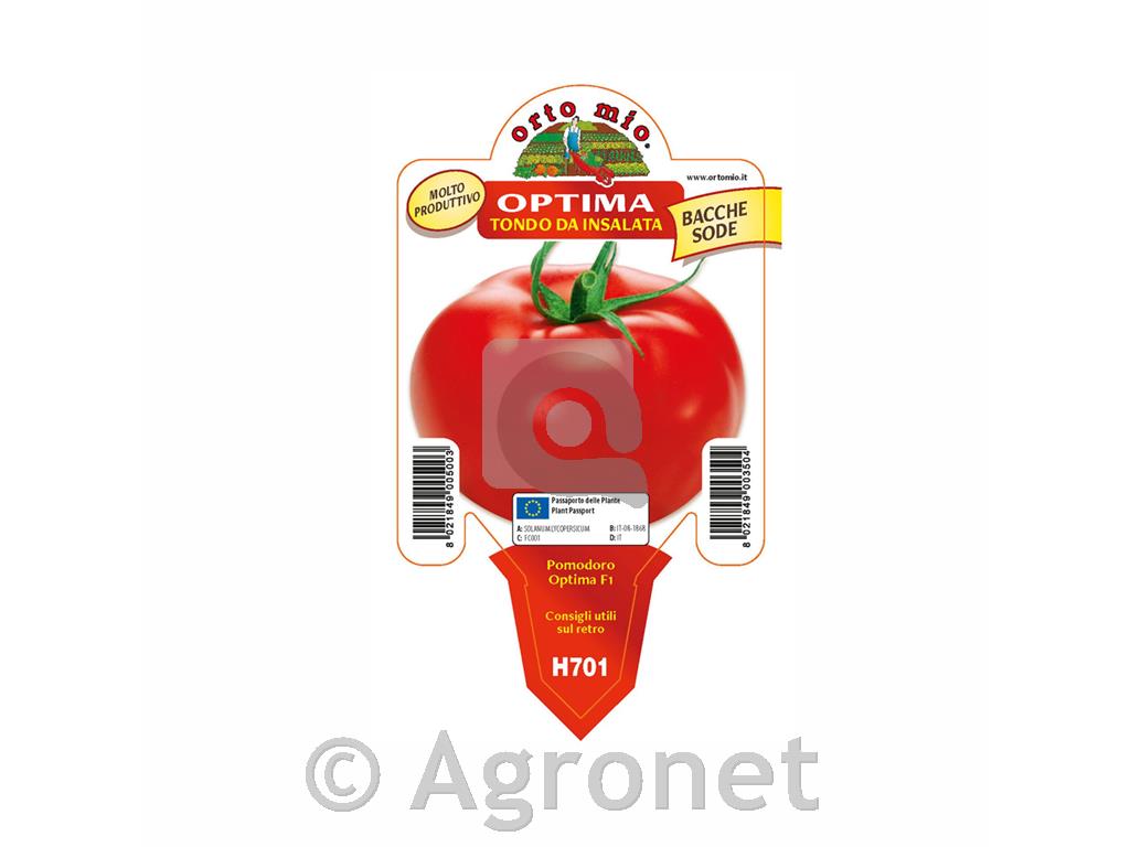 Paradižnik okrogli solatni Optima F1
