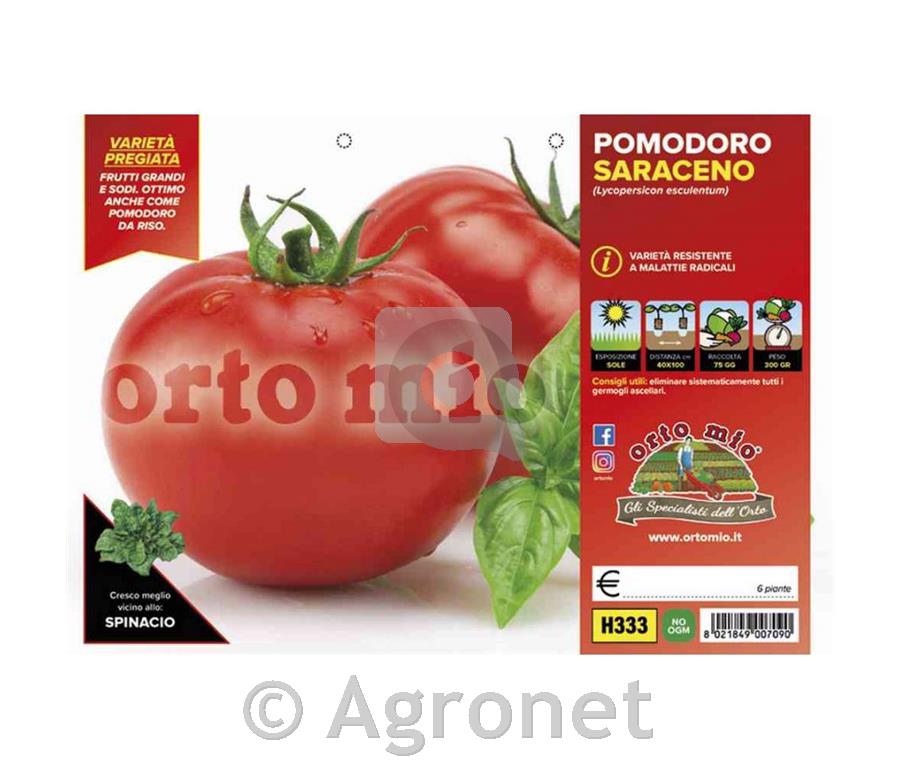 Paradižnik okrogli solatni Saraceno F1, 6 kos